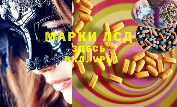 ECSTASY Богданович