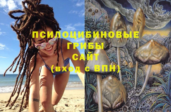 ECSTASY Богданович