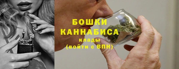 ECSTASY Богданович