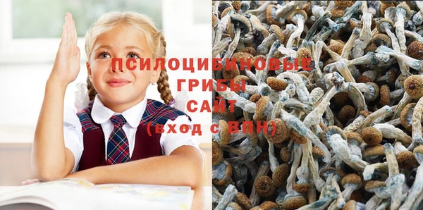 ECSTASY Богданович