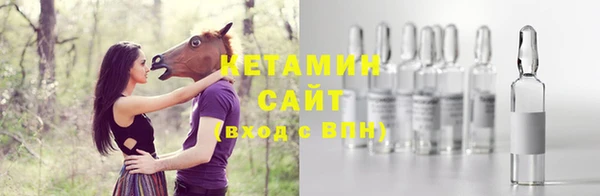 ECSTASY Богданович