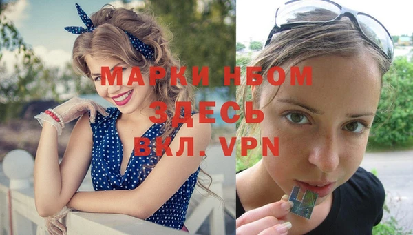 прущий лед Богородск