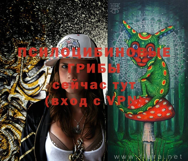 ECSTASY Богданович