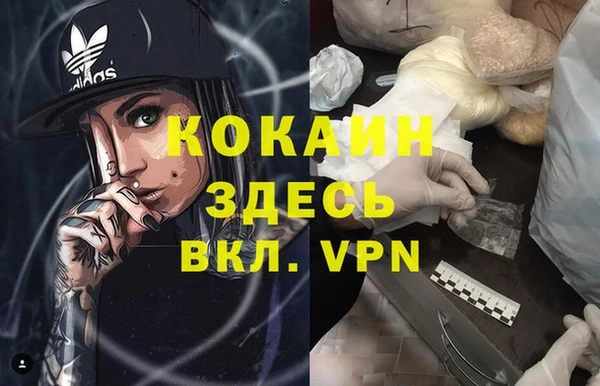 ECSTASY Богданович