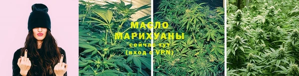 ECSTASY Богданович