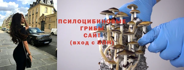 прущий лед Богородск