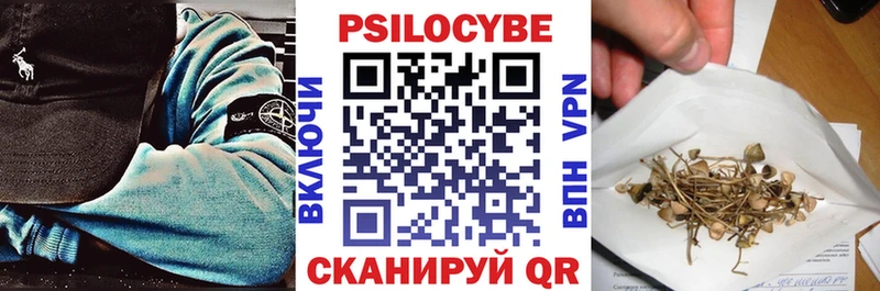 Псилоцибиновые грибы прущие грибы  Мезень 
